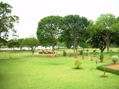 Halebid temple garden